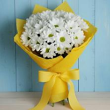 Букет Застенчивые лепестки в Зеленчукской Букет цветов из:  Хризантемы в Зеленчукской