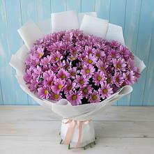 Букет цветов из:  Хризантемы в Зеленчукской