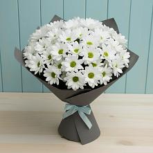 Букет цветов из:  Хризантемы в Зеленчукской