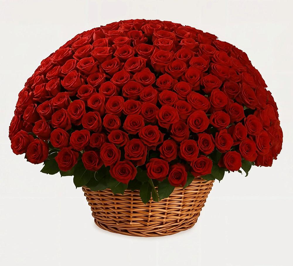 251 Премиум красная роза в Зеленчукской Премиум букет из: Розы в Зеленчукской