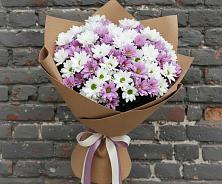 Букет грани совершенства в Зеленчукской Букет цветов из: Хризантемы в Зеленчукской