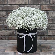 Цветочная композиция из Гипсофила в шляпной коробке в Зеленчукской