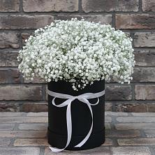 Композиция коробка гипсофил в Зеленчукской Цветочная композиция из Гипсофила в шляпной коробке в Зеленчукской